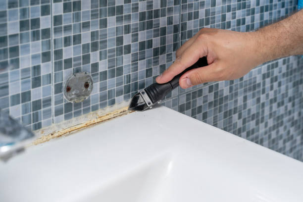 Best Commercial Mold Removal  in Laie, HI